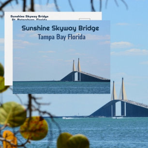 Cartão Postal Tampa Bay Flórida Sunshine Skyway Fotográfico