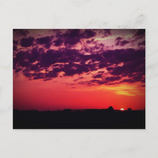 Cartão Postal Tampa Bay Sunset