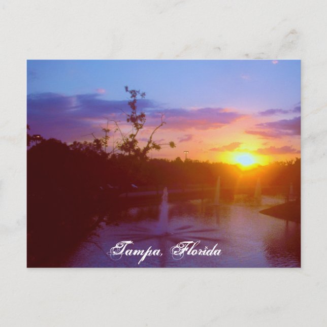 Cartão Postal Tampa Florida (Frente)