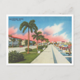Cartão Postal Tampa, Flórida antiga Bayshore Drive e Marina