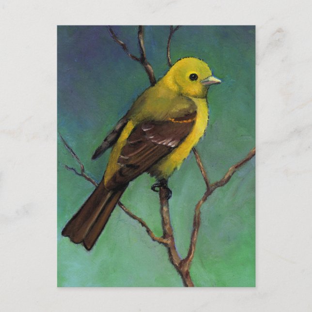Cartão Postal Tanager ocidental: Pássaro no Pastel de Óleo (Frente)