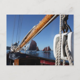 Cartão Postal Tanbark Sails de um Festival de Barcos de Madeira