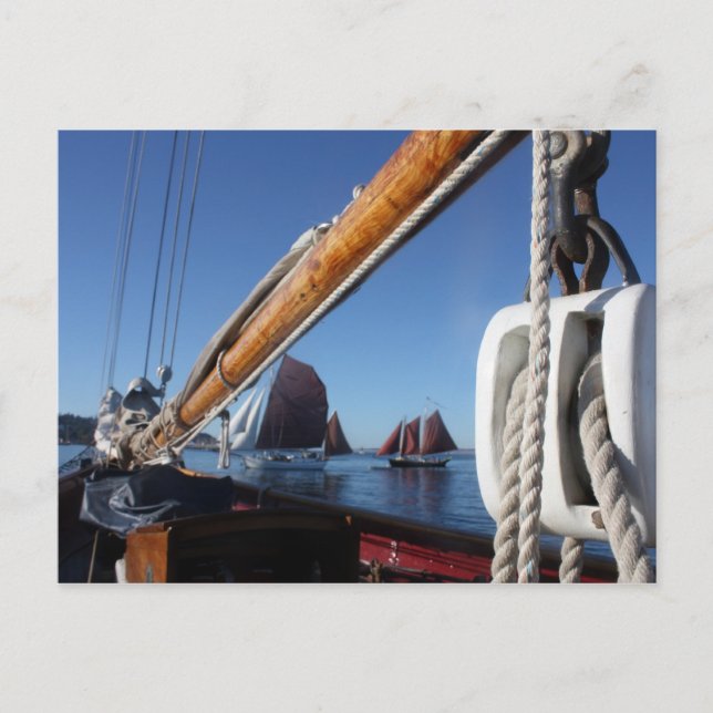 Cartão Postal Tanbark Sails de um Festival de Barcos de Madeira  (Frente)