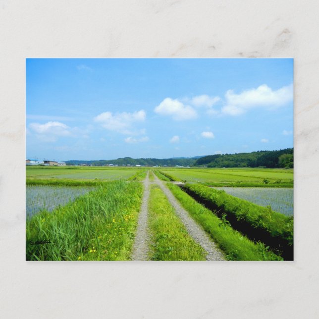 Cartão Postal Tanbo Road (Frente)