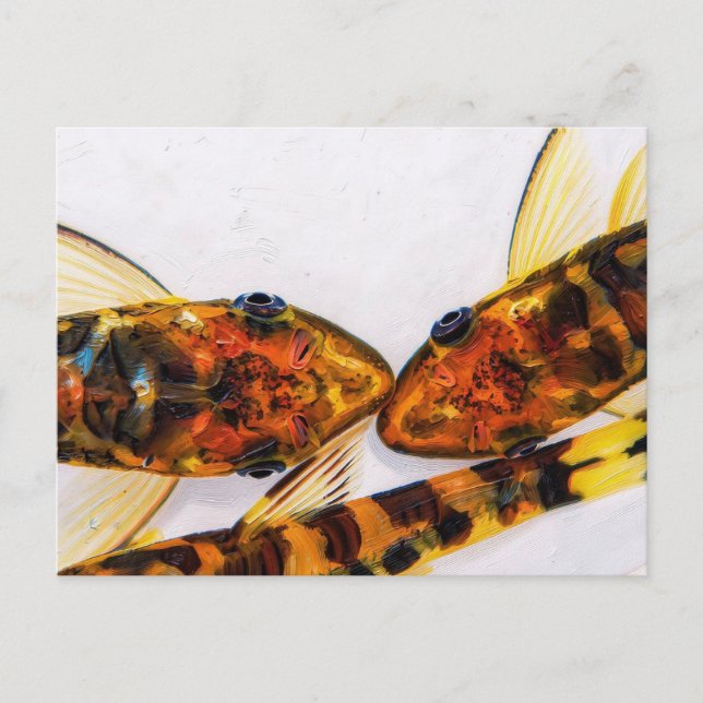 Cartão Postal tanque de peixes Otocinclus zebra (Frente)