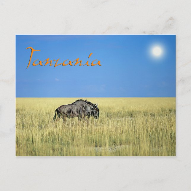 Cartão Postal Tanzânia (Frente)