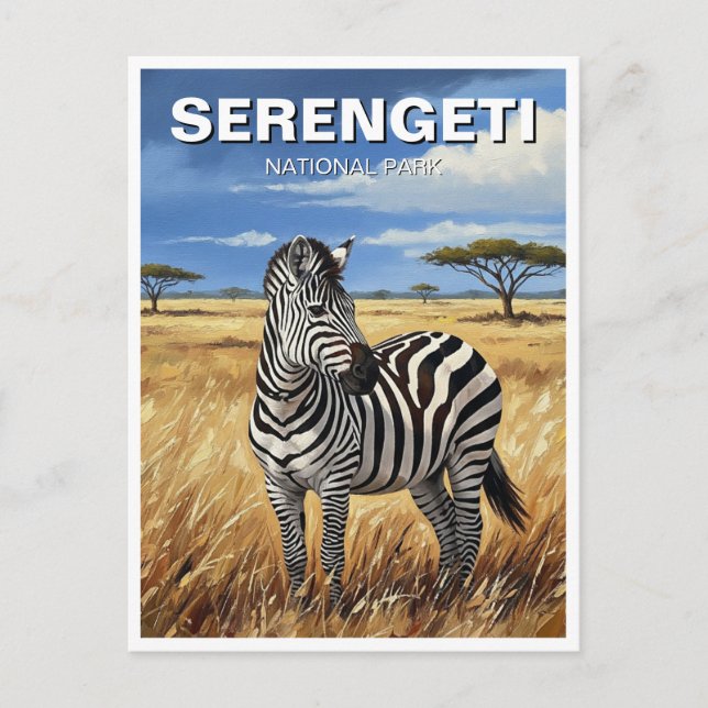 Cartão Postal Tanzânia Serengeti National Park Zebra (Frente)