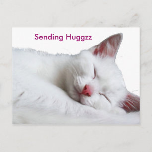 Cartão Postal tão sonolento, enviando Huggzz