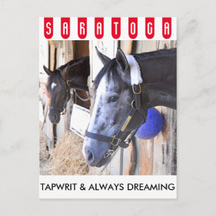 Cartão Postal Tapwrit & Always Dreaming