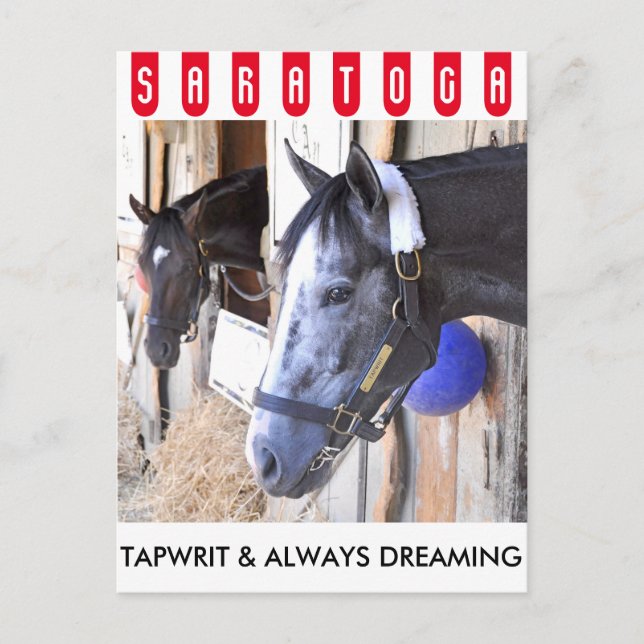 Cartão Postal Tapwrit & Always Dreaming (Frente)