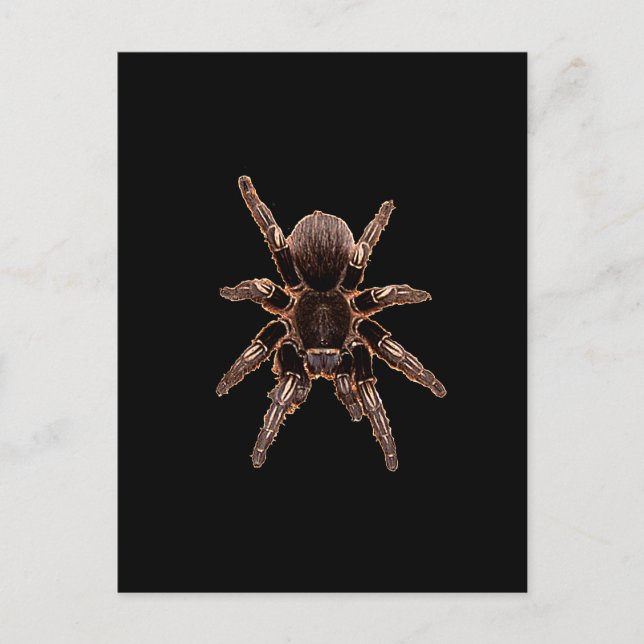 Cartão Postal Tarantula (Frente)