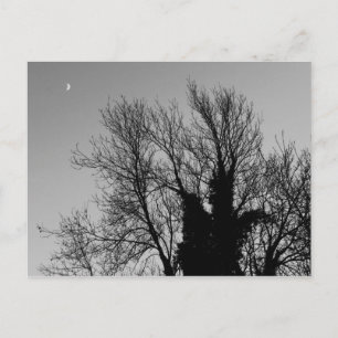 Cartão Postal Tarde do inverno medieval