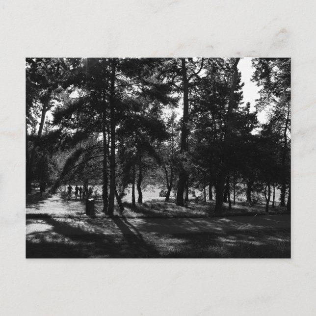 Cartão Postal Tarde no Parque (Frente)