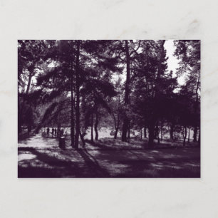 Cartão Postal Tarde no Parque (Tonelada Roxa BW)