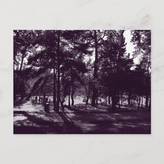 Cartão Postal Tarde no Parque (Tonelada Roxa BW) (Frente)