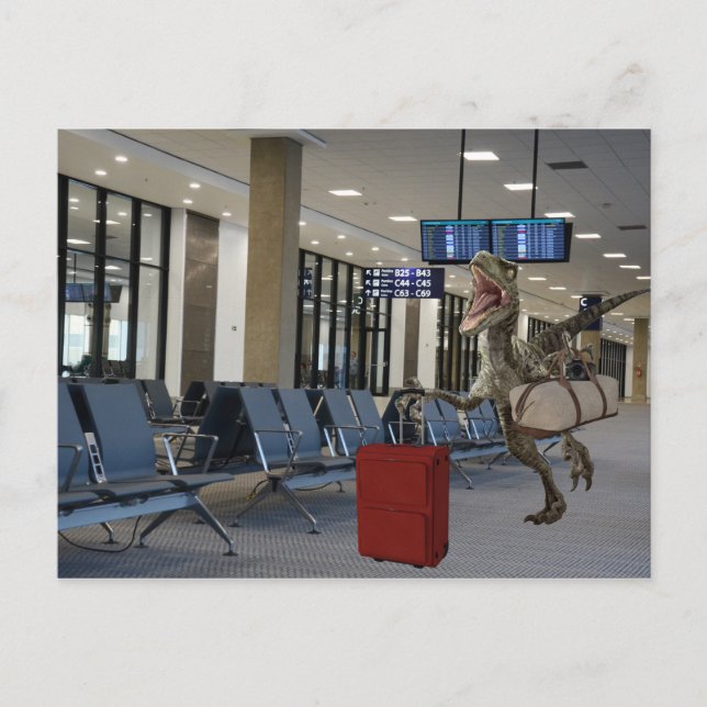 Cartão Postal Tarde para o Plane Dinossauro Raptor Engraçado (Frente)