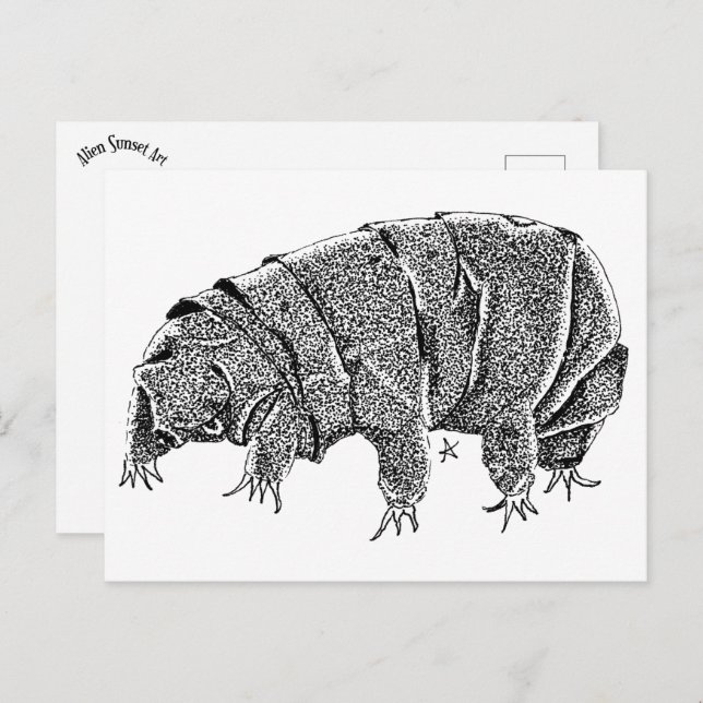 Cartão Postal Tardigrado (Frente/Verso)