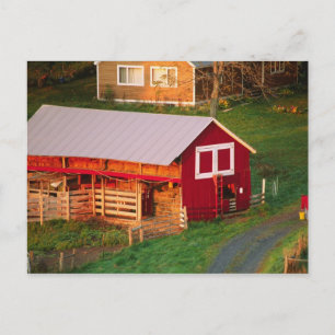 Cartão Postal Tarefas matinais na fazenda. EUA, Vermont,