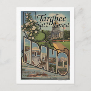 Cartão Postal Targhee Nat'l Forest, Idaho - Grande Cena de Letra