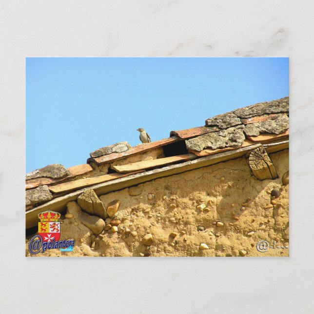 Cartão Postal Tarjeta postal (Frente)