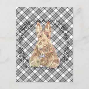 Cartão Postal Tartan Scottie Trigo