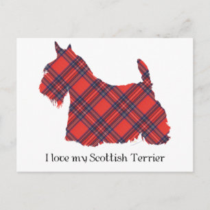 Cartão Postal Tartan Stewart Terrier Escocês