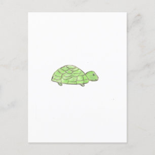 Cartão Postal Tartaruga 