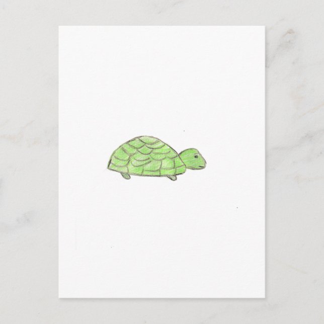 Cartão Postal Tartaruga  (Frente)