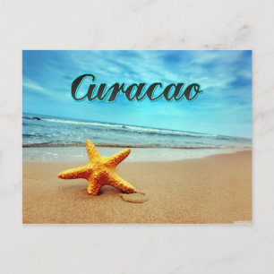 Cartão Postal Tartaruga