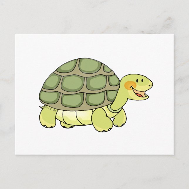 Cartão Postal Tartaruga-branca (Frente)