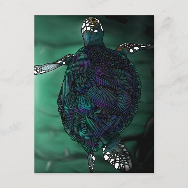 Cartão Postal Tartaruga de mar (Frente)