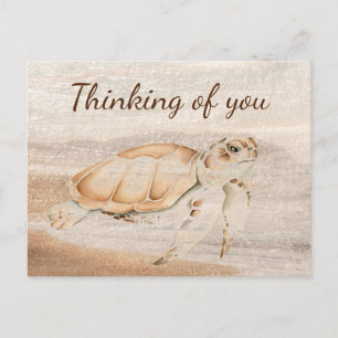 Cartão Postal Tartaruga do Mar Divertido Arte Animal Justa Pensa
