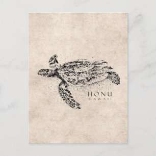 Cartão Postal Tartaruga do Mar Havaí Honu em Pergaminho de Vint