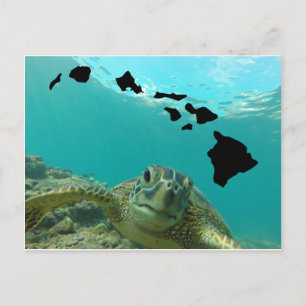 Cartão Postal Tartaruga do Mar Verde do Havaí