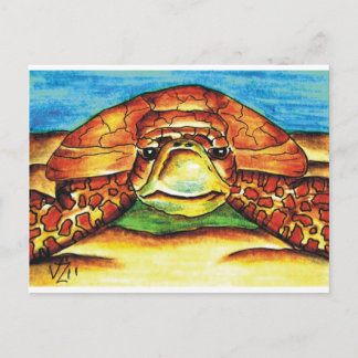 Cartão Postal Tartaruga marinha