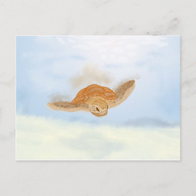 Cartão Postal Tartaruga marinha debaixo de água. (Frente)