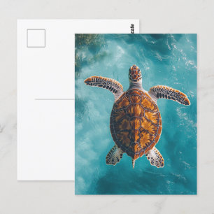 Cartão Postal Tartaruga marinha no Oceano Turquesa