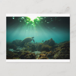 Cartão Postal Tartaruga marinha verde-oceânica submarina