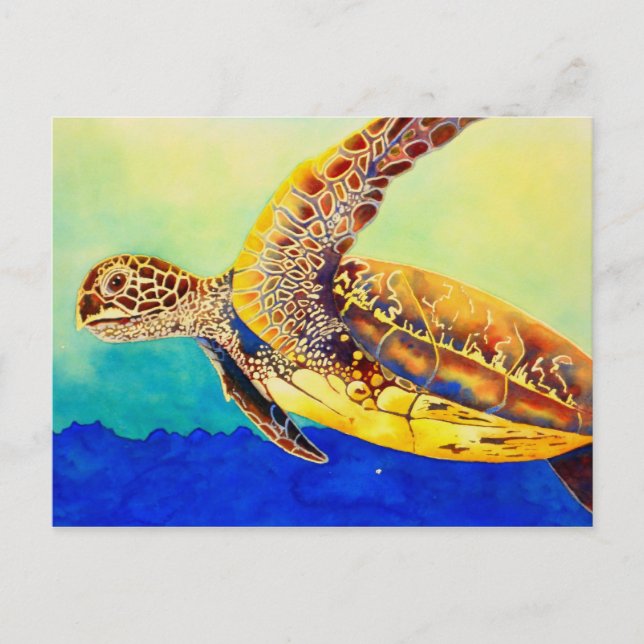 Cartão Postal tartaruga verde (Frente)