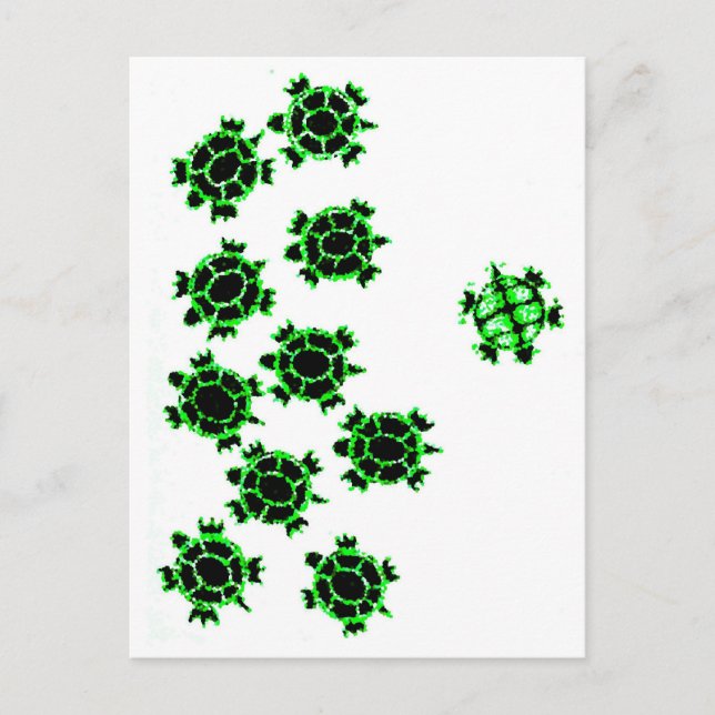 Cartão Postal Tartarugas (Frente)