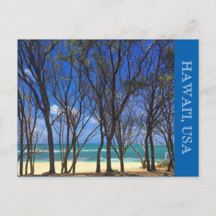 Cartão Postal tartarugas-de-praia