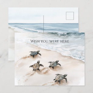 Cartão Postal Tartarugas do Mar da Praia do Oceano