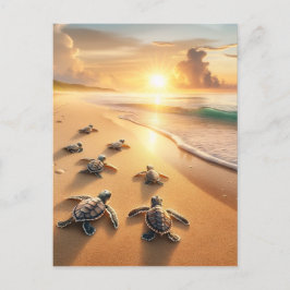 Cartão Postal Tartarugas do Mar do Bebê indo para o Oceano na Pr