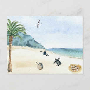 Cartão Postal Tartarugas Marinhas Bebê Eclodindo Aquarela