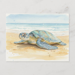 Cartão Postal Tartarugas Marinhas de Kauai Descansando na Praia