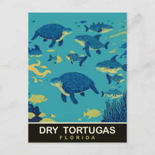 Cartão Postal Tartarugas marinhas em turnos secos FL, Viagem