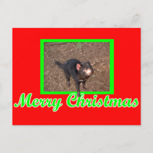 Cartão Postal Tassie Devil