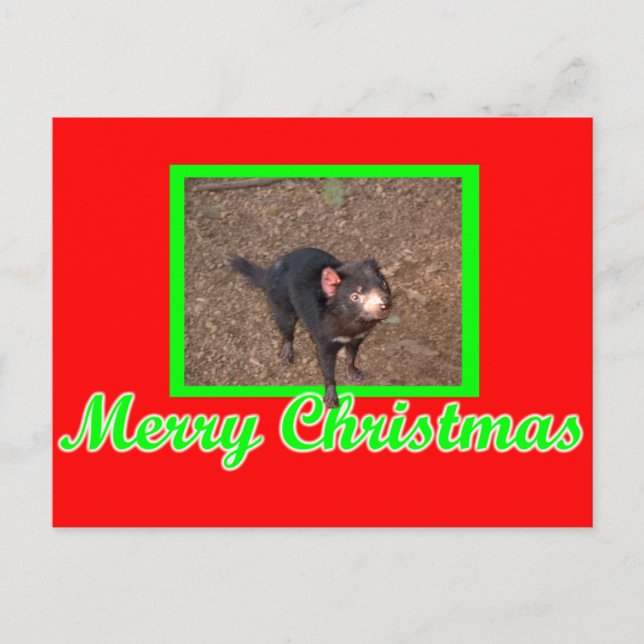 Cartão Postal Tassie Devil (Frente)