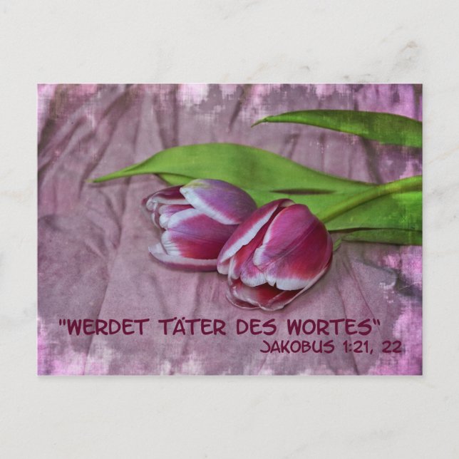 Cartão Postal Täter des Wortes (Frente)