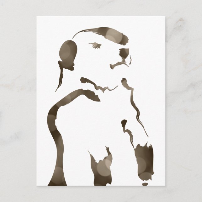 Cartão Postal tatu-bola bokeh (Frente)